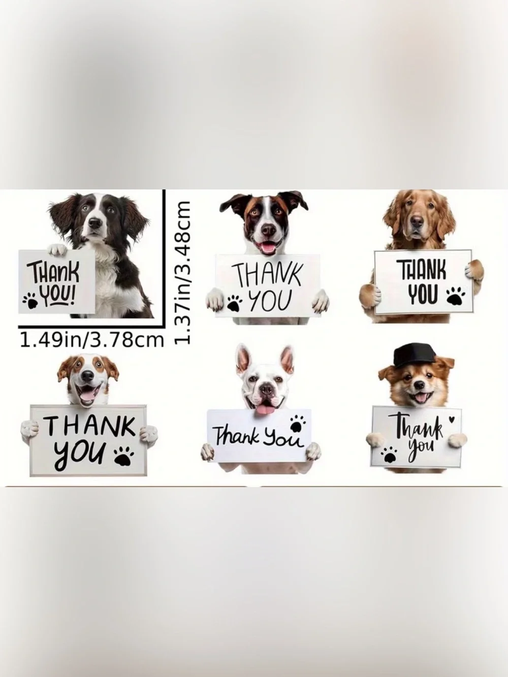 Dog shipping bundle 20- pink 10x13 polys, 20 thank you cards,200 sticker roll